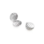 Silver Scallop Shell Earrings