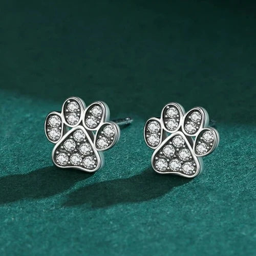 Pendientes de Pata de Circonio en Plata