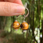 Women's Tiger Eye Dangle Earrings