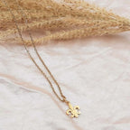 Men's and Women's Fleur de Lys Necklace & Pendant Gold